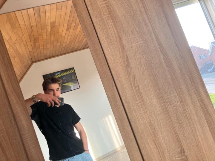Arne Vl