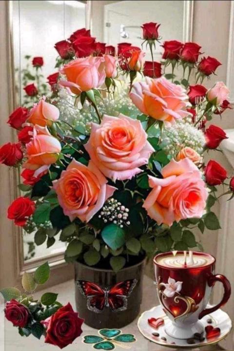 Khadija Mezouar brattekas