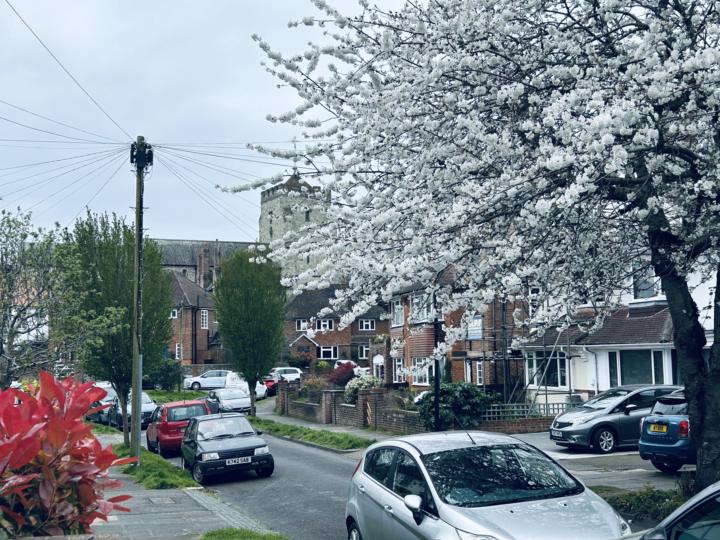 Spring is in the air! 