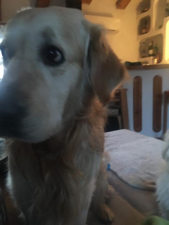 María José Romero Rodríguez