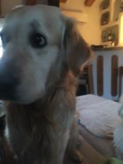 María José Romero Rodríguez