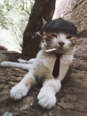 Pedro pablo Alvarez vega