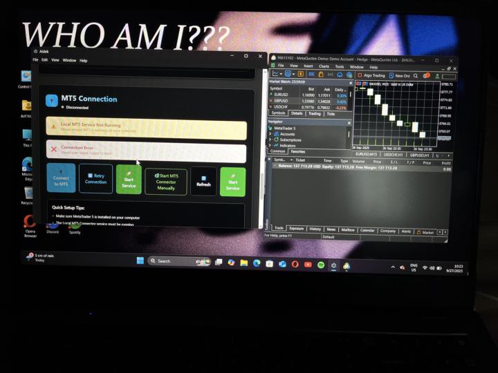 MT5 Connection 