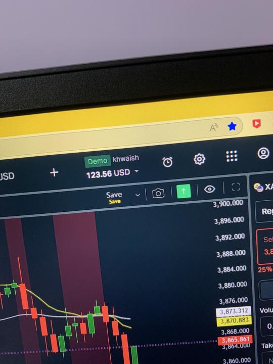 Todays profit 