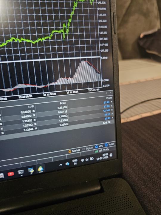 again PROFIT from THE RAIN BOT