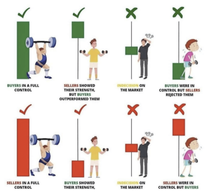 CANDLESTICK ANATOMY
