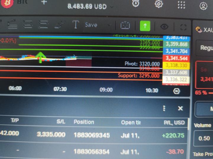 Profit 