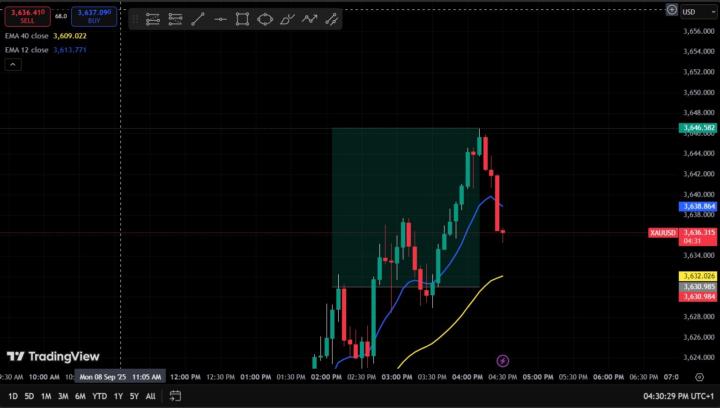 Gold Short Profit!