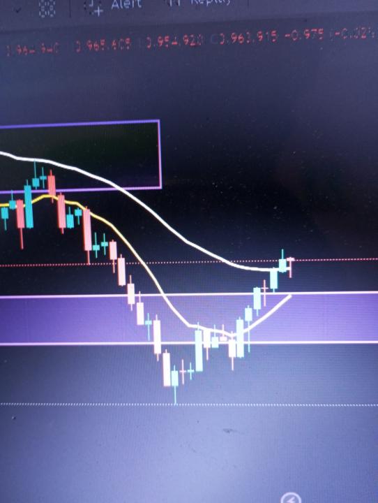 What do you think guys?
