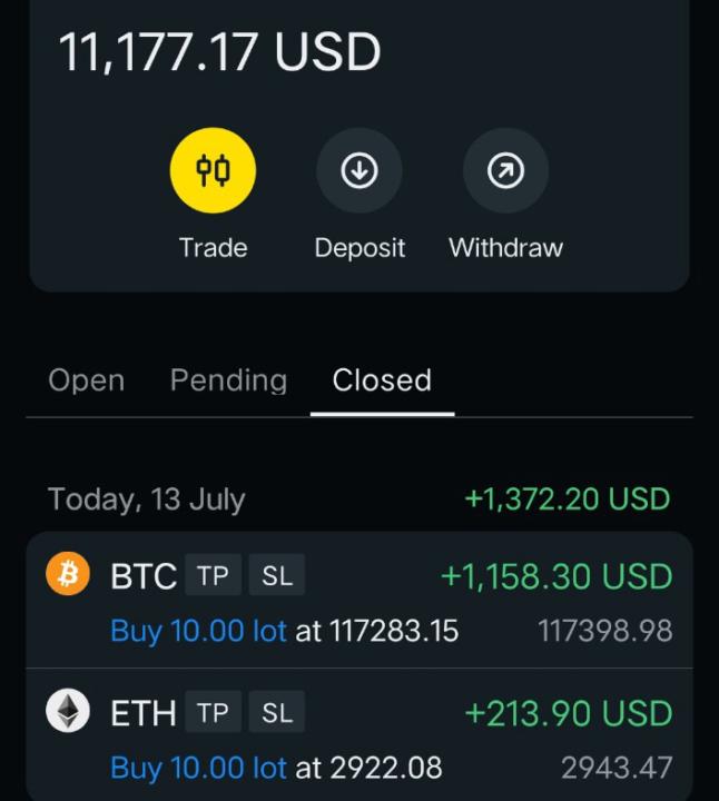 Profit and loss 