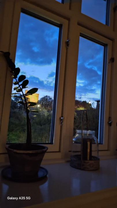 Fevzi Boncuklu