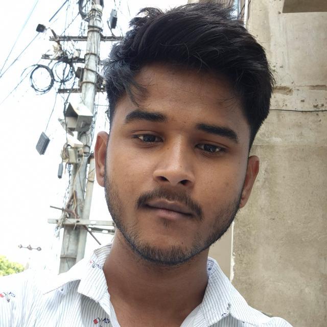 Robin Roy