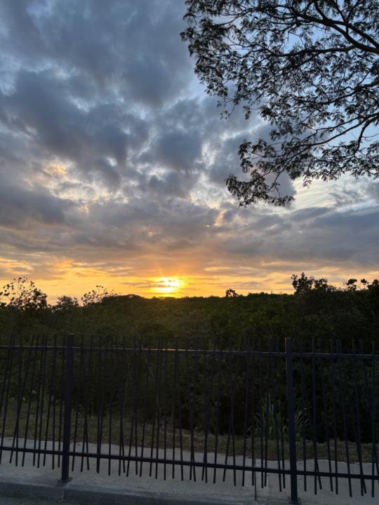 Outyoute Marie-Louise