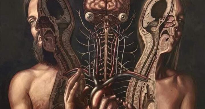 Anatomía Normal