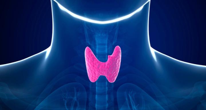 Happy Hypothyroidism Tribe