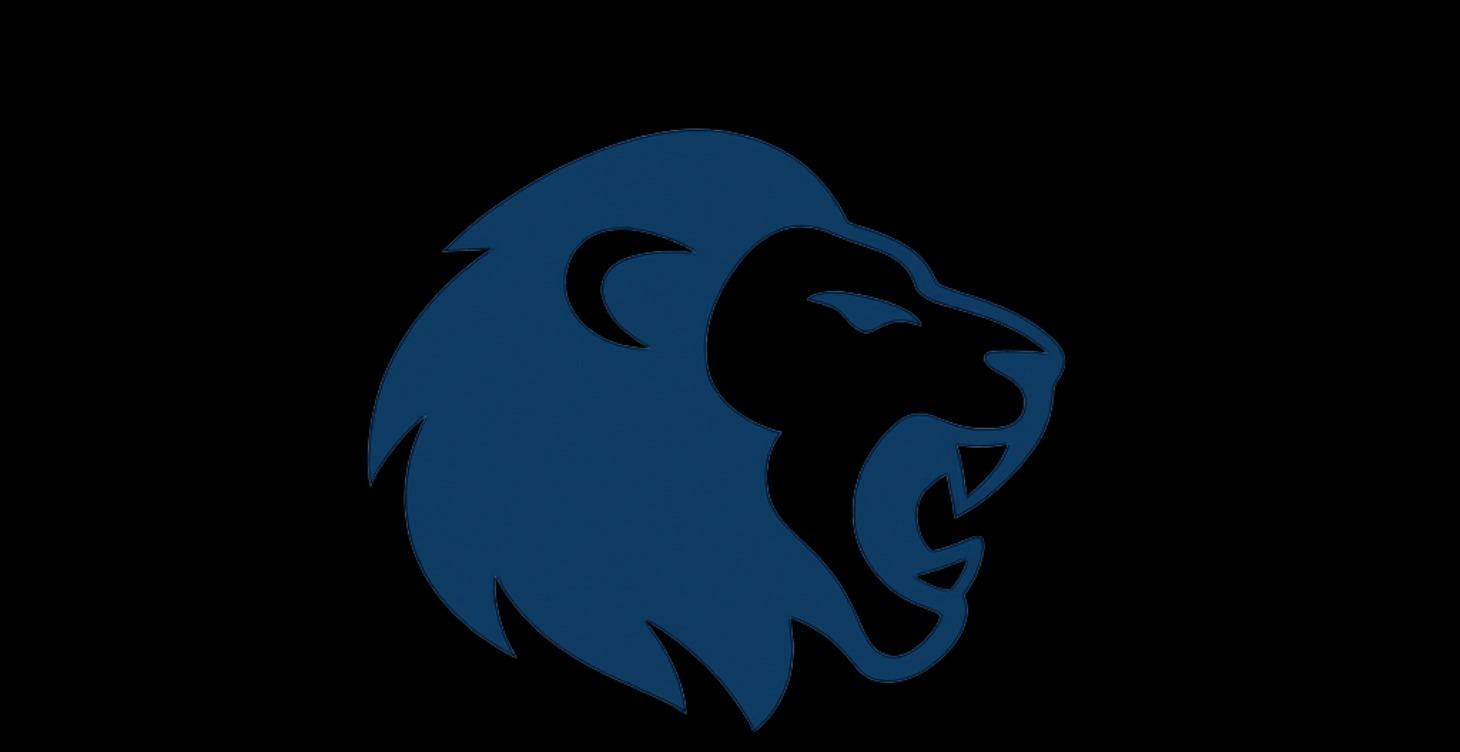 Financing & Capital Structure Mastery