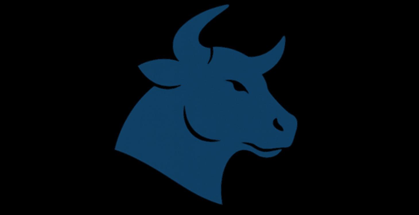 Due Diligence, Risk Management & Deal Execution