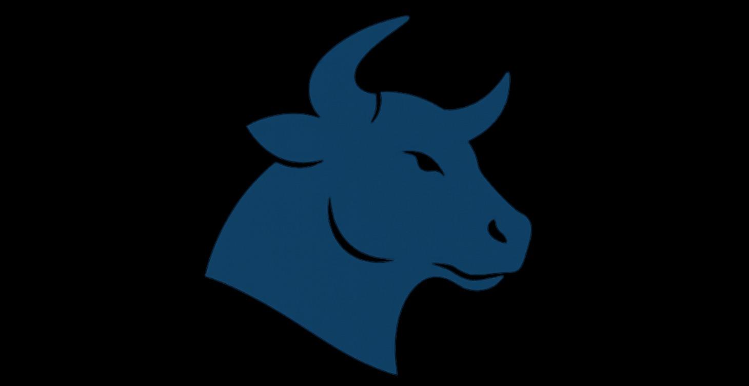 Deal Sourcing & Acquisition Systems