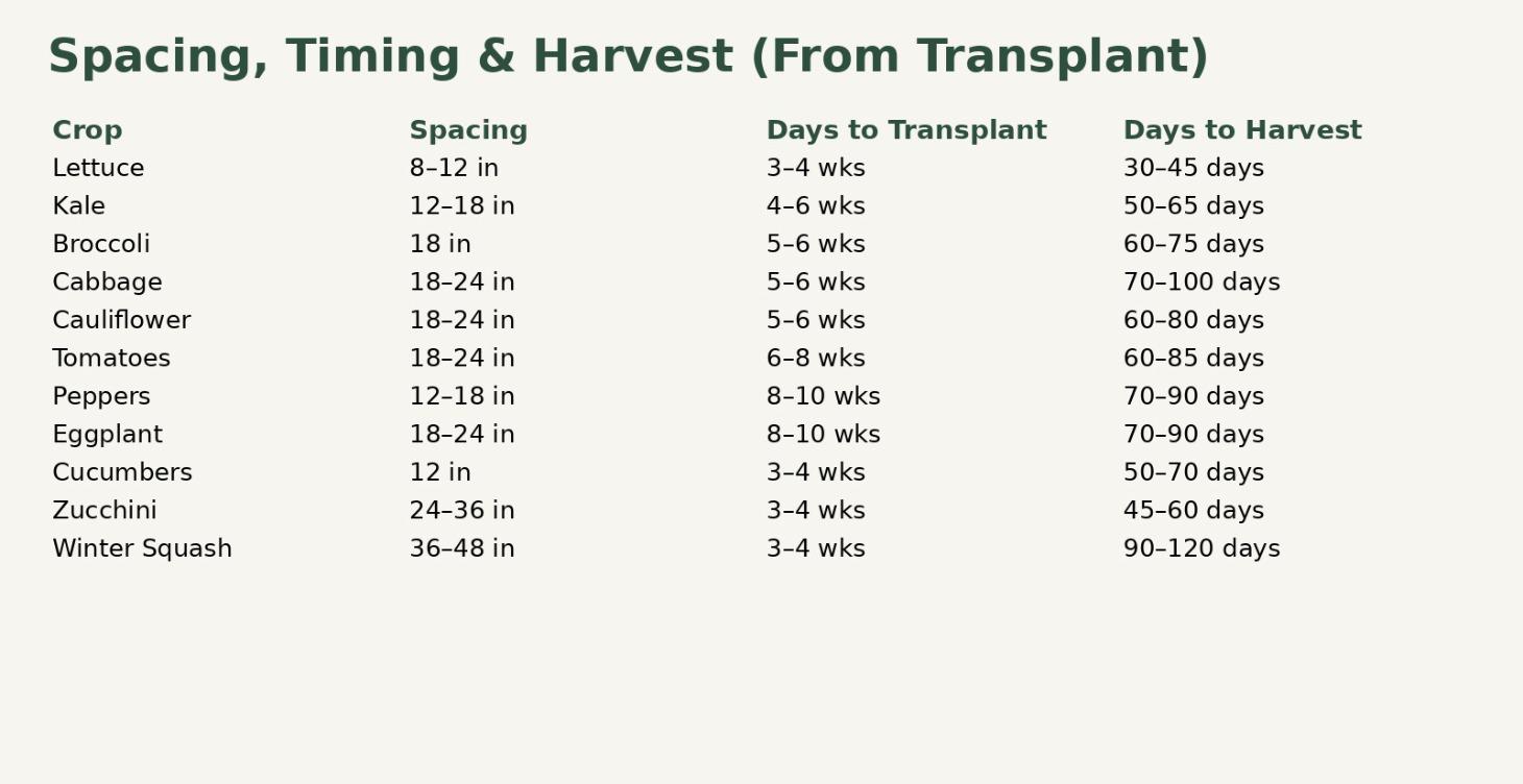 The Grow With Sammie Resources Hub — Roadmap