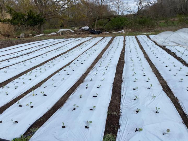 Calculating- I told my math teacher I would never need math in real life 😝