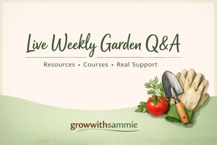 Free community is great for inspiration. Premium Classroom is where you get answers.