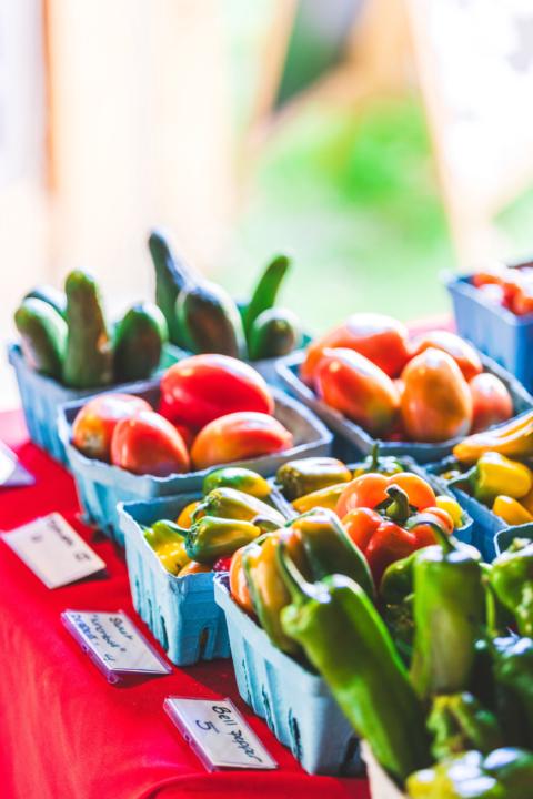 Interested In Preserving your harvest?