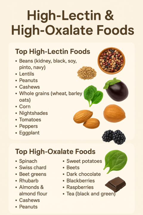 🌿 Lectins & Oxalates and Why They Matter for Autoimmunity