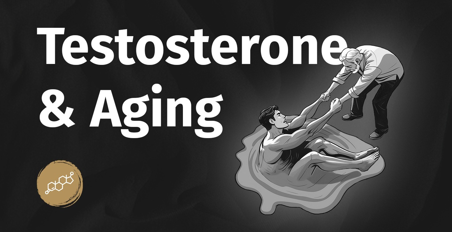 Testosterone & Aging