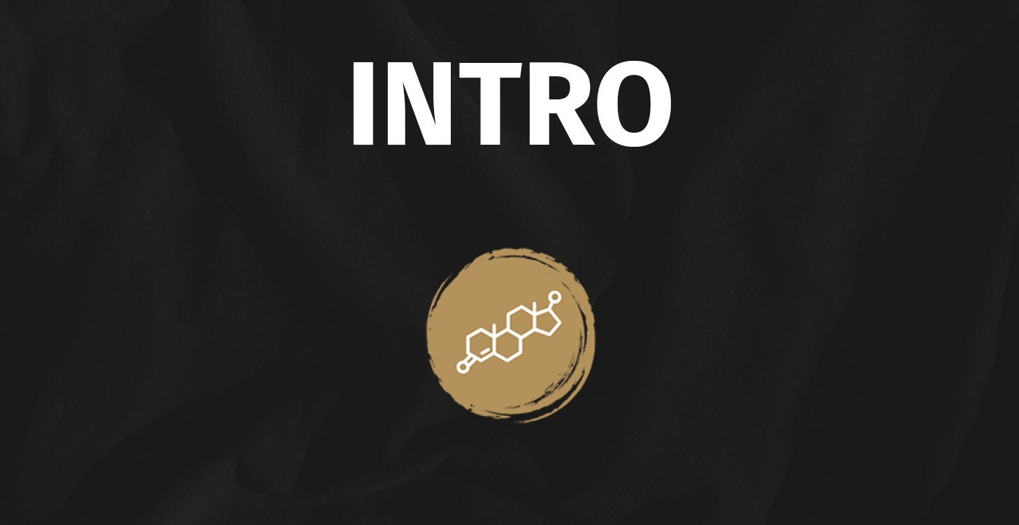 Testosterone Category Intro