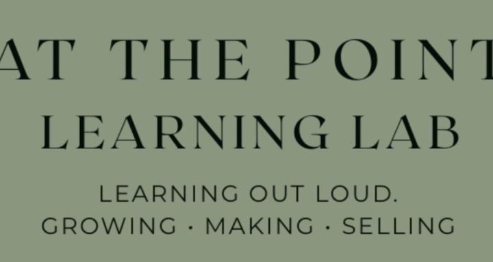 At the Point Learning Lab
