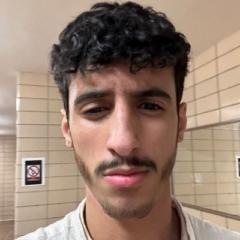 Amer Abdulrab