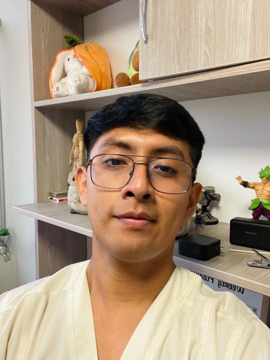 Sebastian Vargas lizarbe