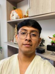 Sebastian Vargas lizarbe