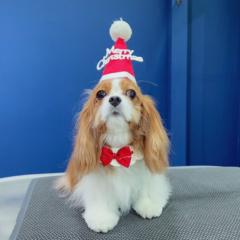 Pavaris Eam-ekpattana