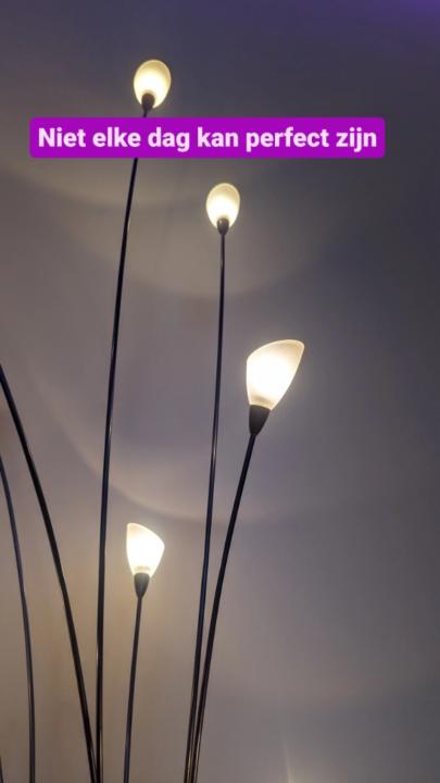 Fabienne van Seggelen