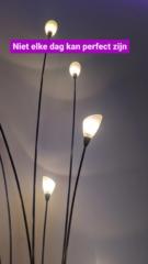 Fabienne van Seggelen