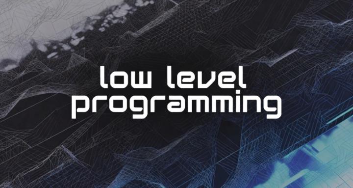 Low Level Programming