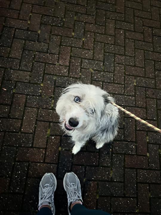 First run in 5 years ! 