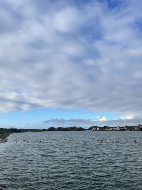 Saturday Morning Run 🏃 