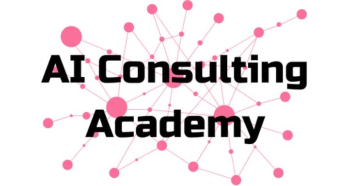 AI Consulting Academy