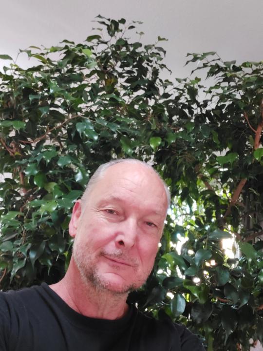 David Reed