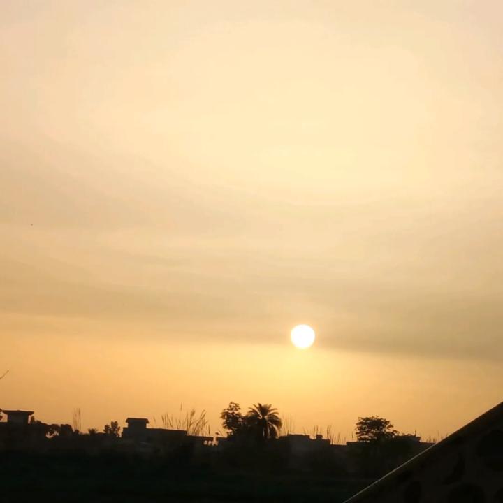 Mashal Mehar