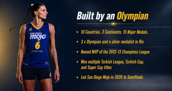 International Volleyball 