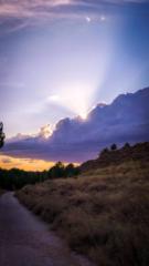 Javier Martín Avilés