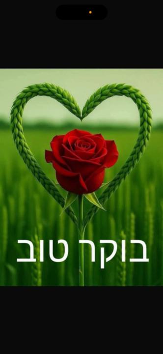 אמבת טג'ו