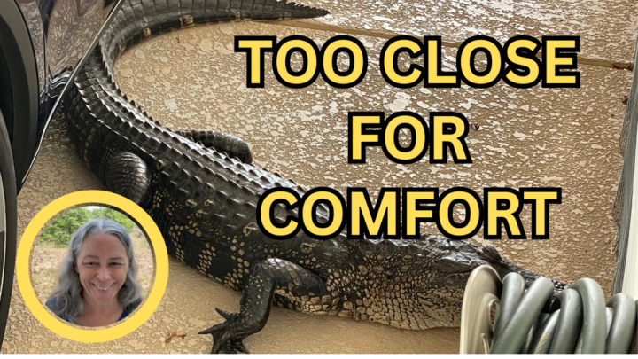 Thumbnail feedback requested.