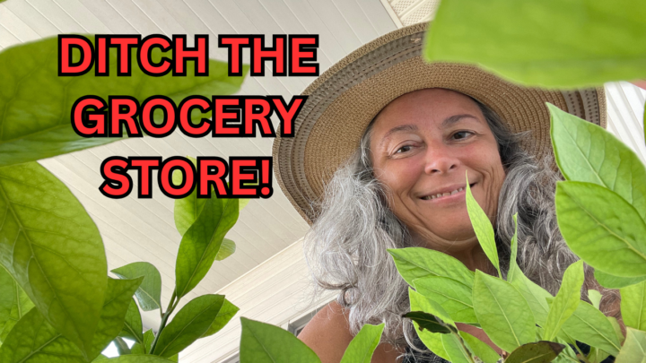 Thumbnail Feedback Requested