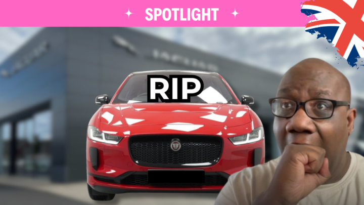 Which One Would You Choose? 👀