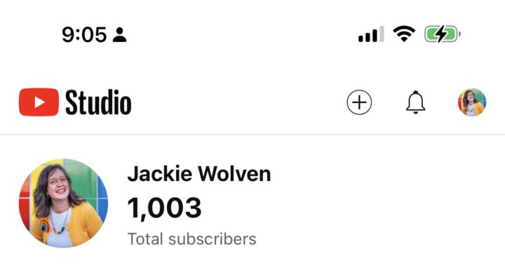 I woke up to 1003 Subscribers 