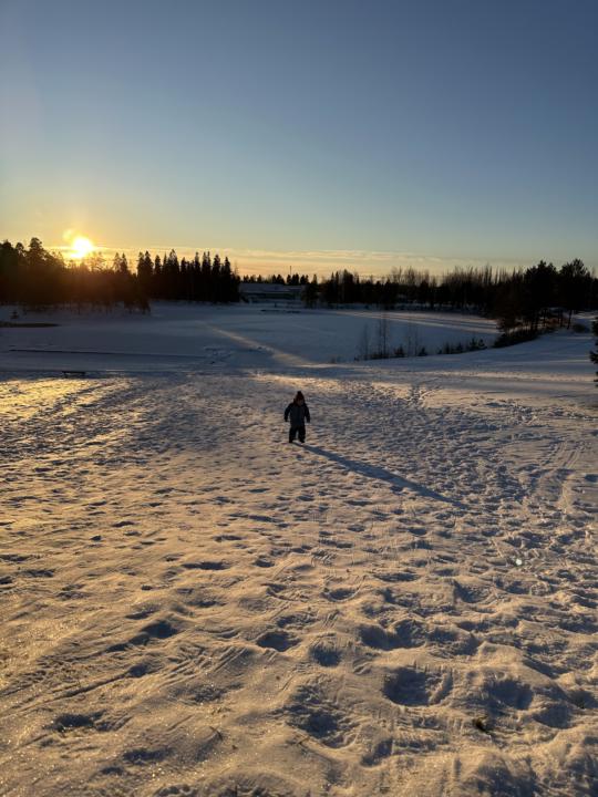 Happy Holidays Everyone & Happy New Year